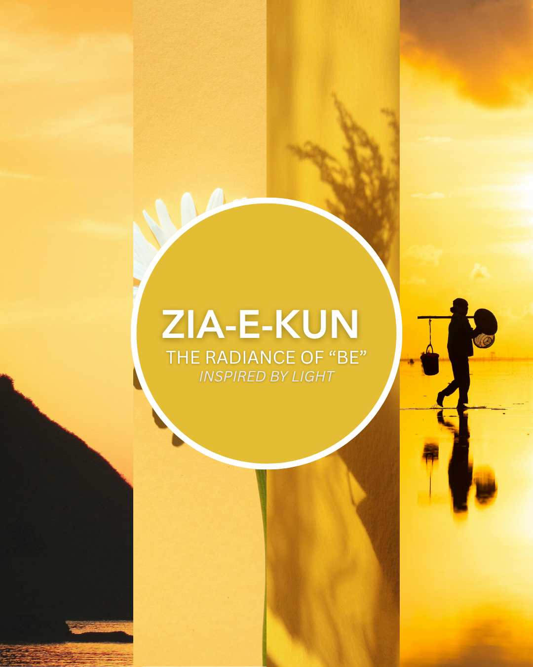 Zia-E-Kun Handwoven 3pc