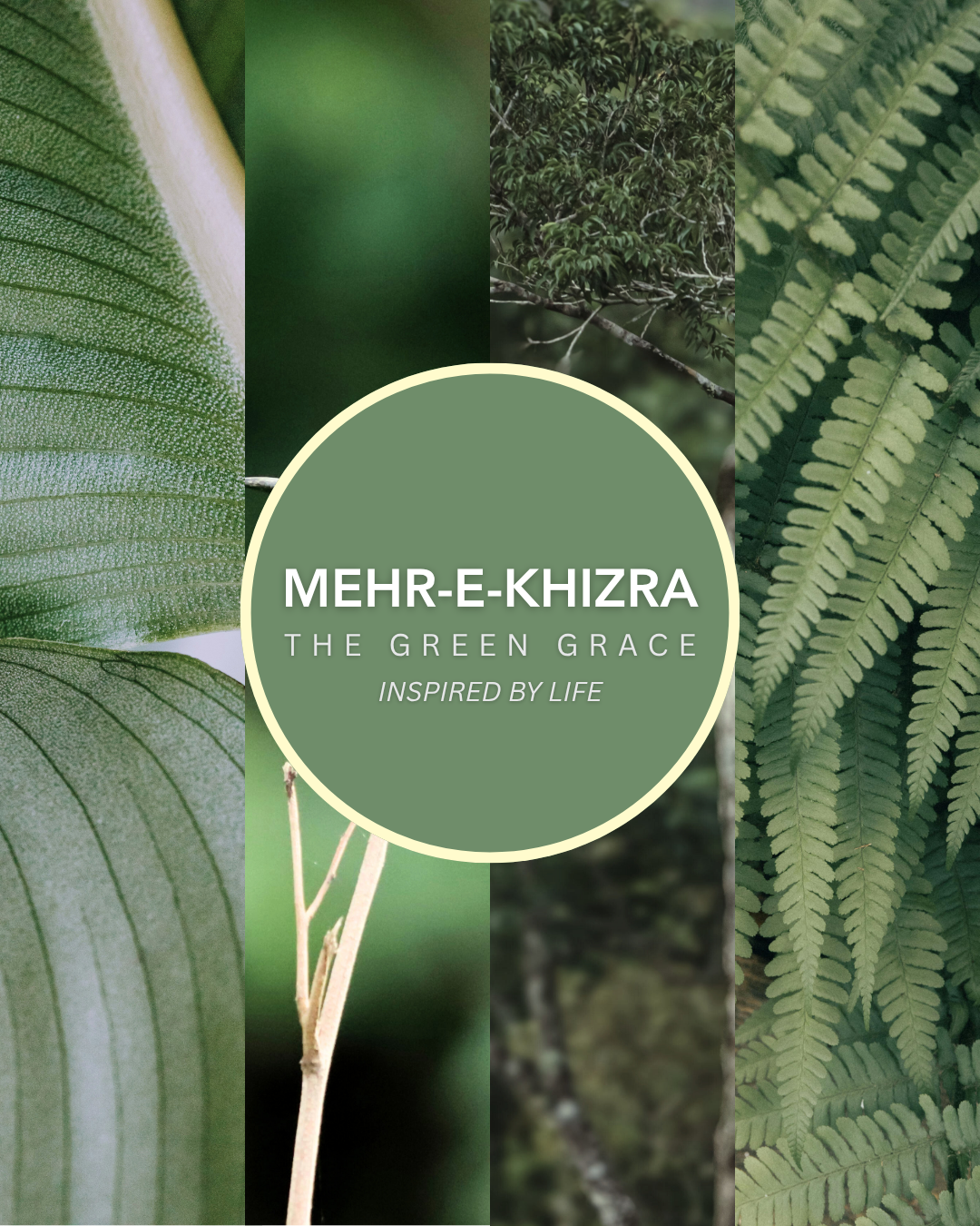 Mehr-E-Khizra Handwoven 3pc